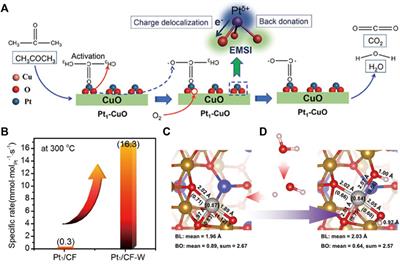 Recent progresses on single-atom catalysts for the removal of air pollutants